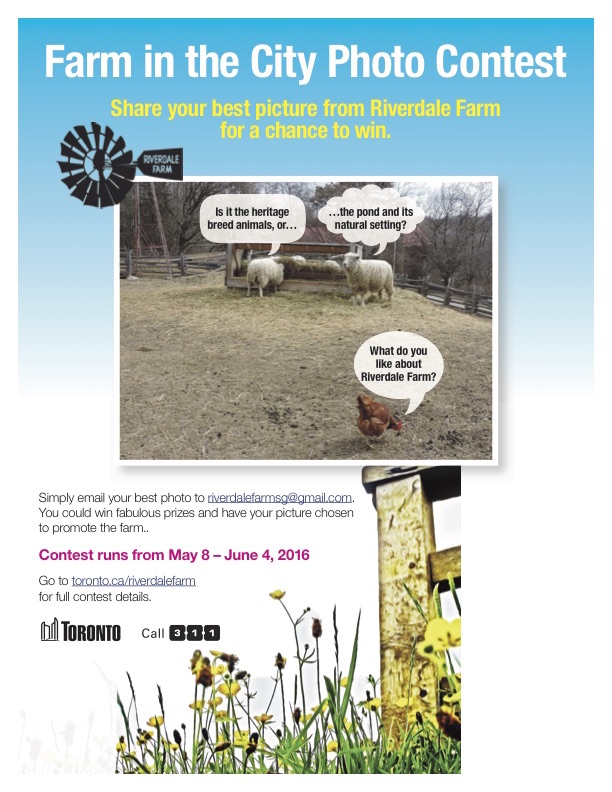 Riverdale Farm Photo Contest