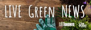 Live green news logo