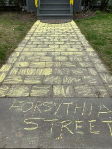 Forsythia chalk on pavement